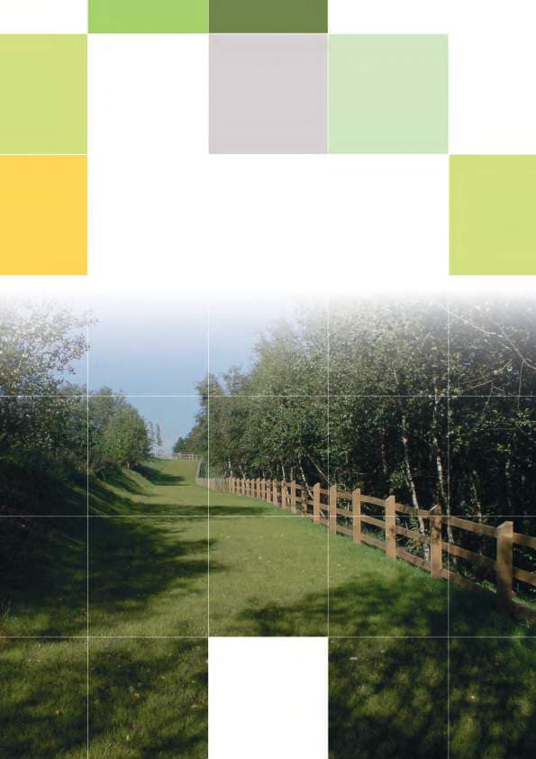 Grassroad — plastic grassed paving system