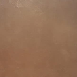 Autumn Brown Micro-Top