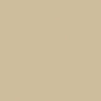 Travertine Beige