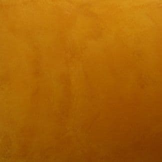 Warm Honey on WB Micro-Top