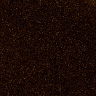 Seal Brown