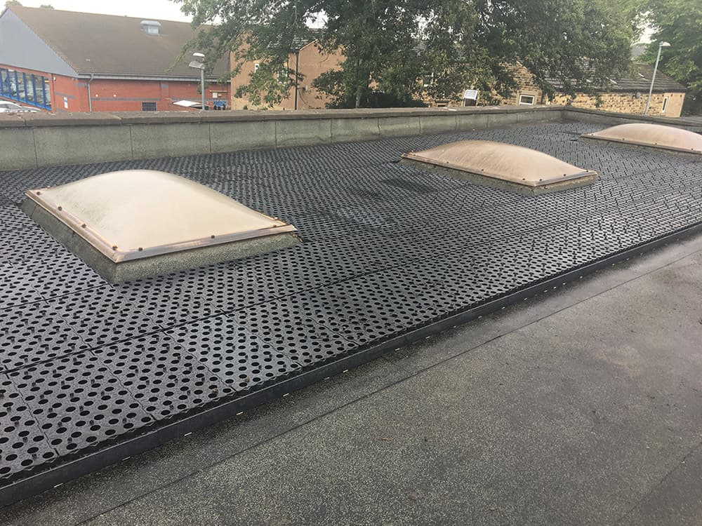 Grassroof detail — living roof system