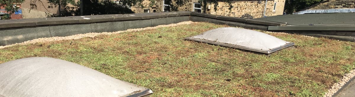 Grassroof green roofing system — full view