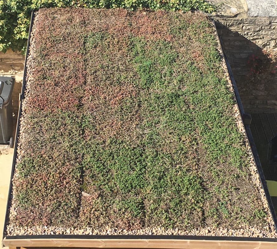 Grassroof installation detail — Bomanite Türkiye